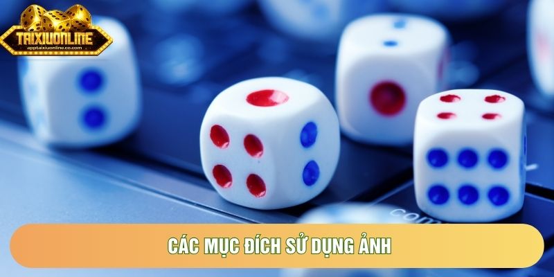 Các mục đích sử dụng ảnh Các mục đích sử dụng ảnh