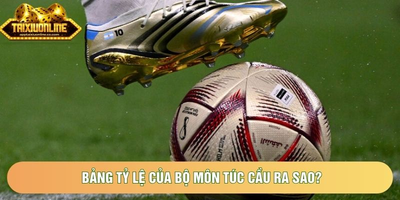 Bảng tỷ lệ của bộ môn túc cầu ra sao? Bảng tỷ lệ của bộ môn túc cầu ra sao?