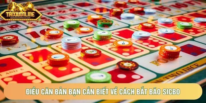 Điều căn bản bạn cần biết về cách bắt bão sicbo Điều căn bản bạn cần biết về cách bắt bão sicbo