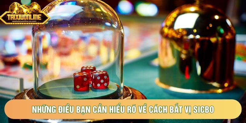 Những điều bạn cần hiểu rõ về cách bắt vị sicbo Những điều bạn cần hiểu rõ về cách bắt vị sicbo