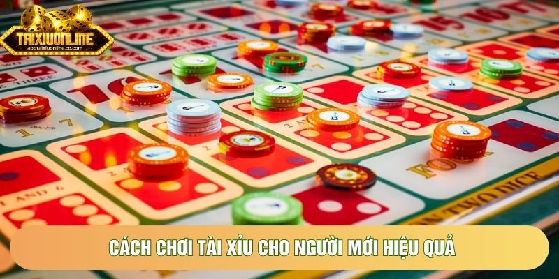 Cách chơi tài xỉu cho người mới hiệu quả Cách chơi tài xỉu cho người mới hiệu quả