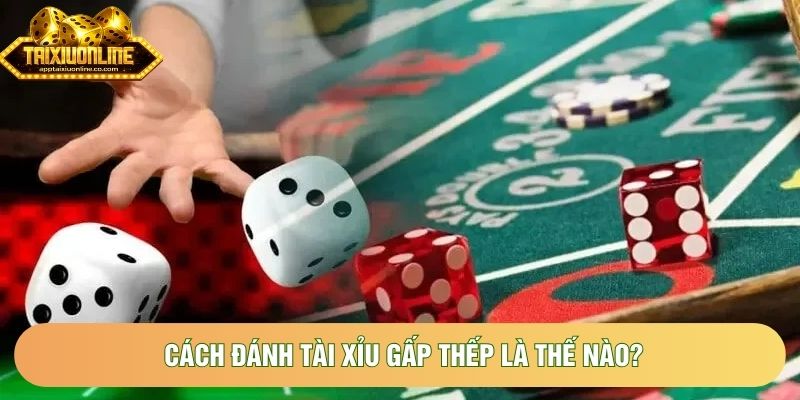 Cách đánh tài xỉu gấp thếp là thế nào? Cách đánh tài xỉu gấp thếp là thế nào?