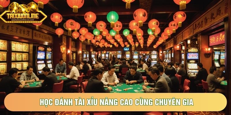Học đánh tài xỉu nâng cao cùng chuyên gia Học đánh tài xỉu nâng cao cùng chuyên gia