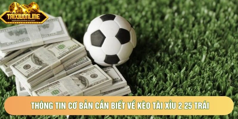 Thông tin cơ bản cần biết về kèo tài xỉu 2 25 trái Thông tin cơ bản cần biết về kèo tài xỉu 2 25 trái