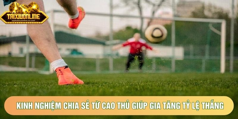 Kinh nghiệm chia sẻ từ cao thủ giúp gia tăng tỷ lệ thắng Kinh nghiệm chia sẻ từ cao thủ giúp gia tăng tỷ lệ thắng