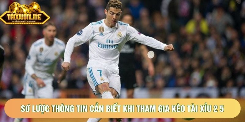 Sơ lược thông tin cần biết khi tham gia kèo tài xỉu 2 5 Sơ lược thông tin cần biết khi tham gia kèo tài xỉu 2 5