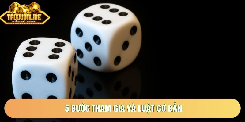 5 bước tham gia và luật cơ bản 5 bước tham gia và luật cơ bản