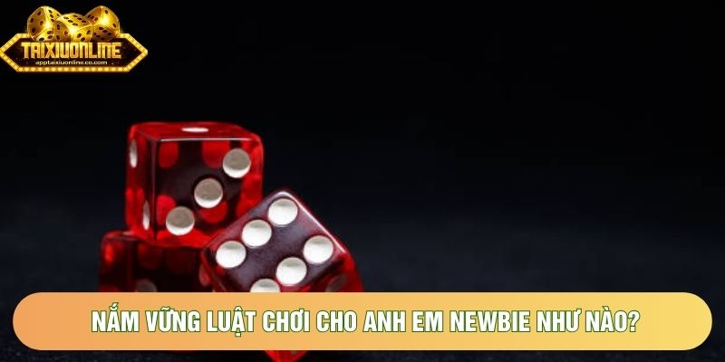 Nắm vững luật chơi cho anh em newbie như nào? Nắm vững luật chơi cho anh em newbie như nào?
