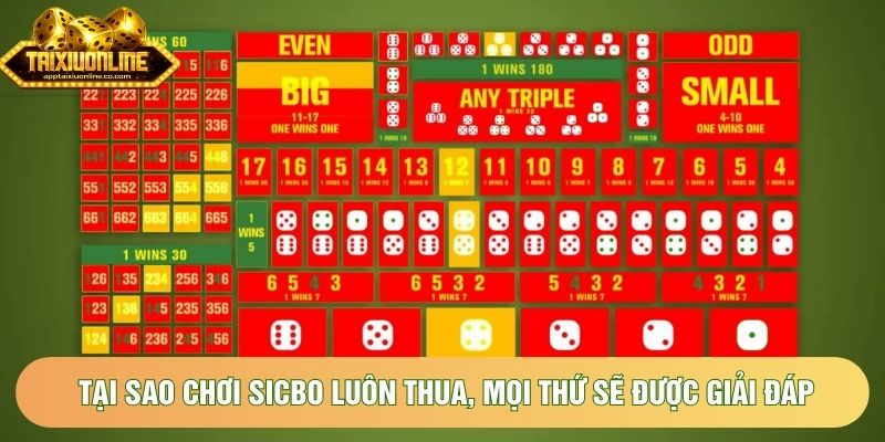 Tại sao chơi sicbo luôn thua, mọi thứ sẽ được giải đáp Tại sao chơi sicbo luôn thua, mọi thứ sẽ được giải đáp