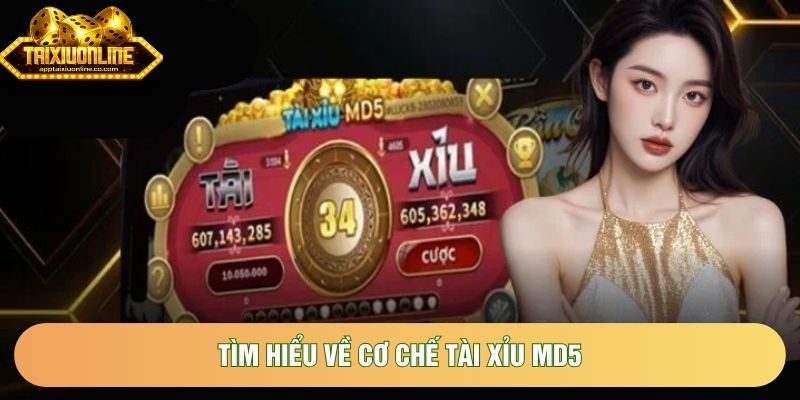 Tìm hiểu về cơ chế Tài xỉu MD5 Tìm hiểu về cơ chế Tài xỉu MD5