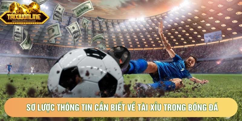 Sơ lược thông tin cần biết về tài xỉu trong bóng đá Sơ lược thông tin cần biết về tài xỉu trong bóng đá
