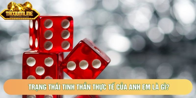 Trạng thái tinh thần thực tế của anh em là gì? Trạng thái tinh thần thực tế của anh em là gì?