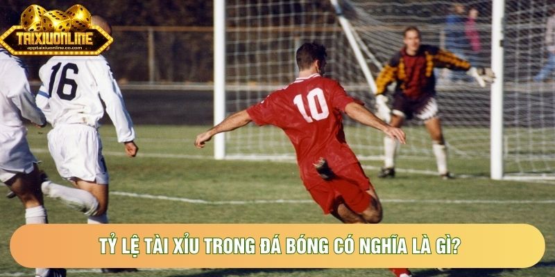 Tỷ lệ tài xỉu trong đá bóng có nghĩa là gì? Tỷ lệ tài xỉu trong đá bóng có nghĩa là gì?